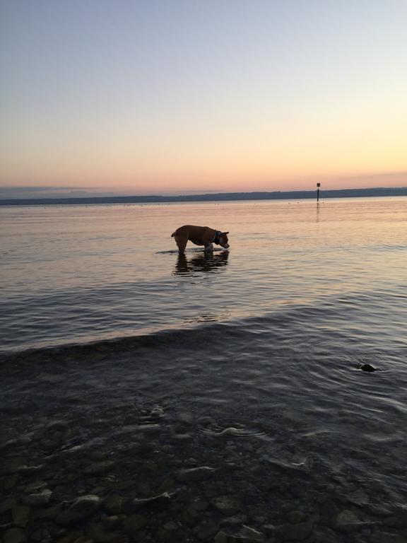 Strandhaus Hagnau Hotel Kültér fotó
